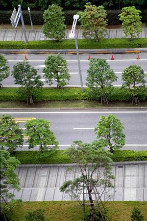 伊豆高原の絶景と温泉を満喫!赤沢温泉ホテルの魅力と特徴