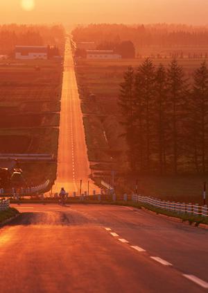 PartsWeb(パーツウエブ)大衆自動車商会 八尾店|輸入車中古パーツと事故車買取の総合サポート