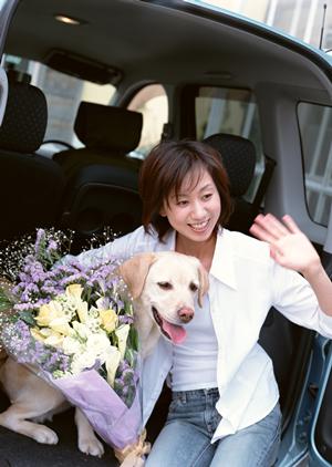 一宮市の新古車選びを成功させるための完全ガイド【2026年最新情報】