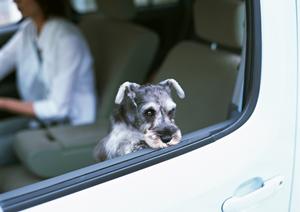 車検の費用を適切に確認するなら