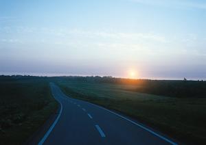 【公式】車買取・車査定 ティーバイティーガレージの特徴とサービス紹介